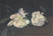 Branch of White Peonies and Shears (mk40)